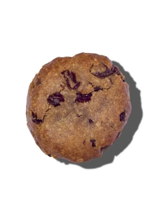 Vegan Gluten-Free Oatmeal Raisin Cookie