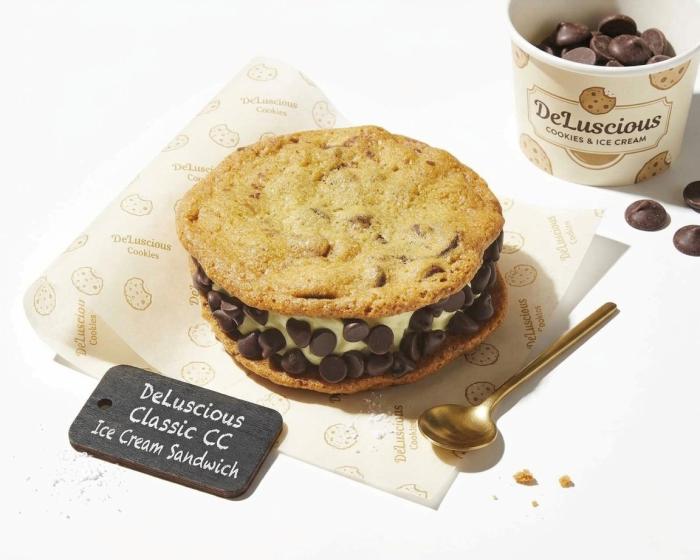 Classic Chocolate Chip Ice Cream Sandwich